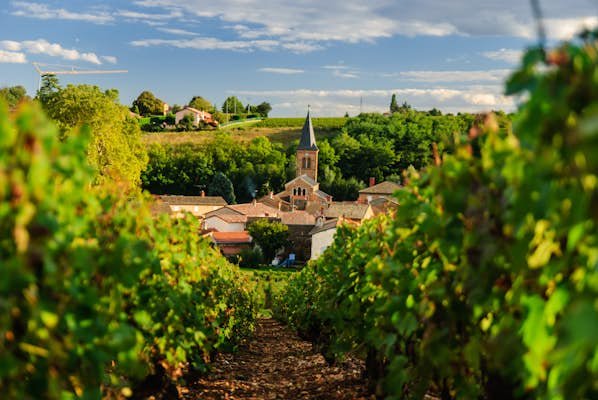 A first-time guide to Beaujolais